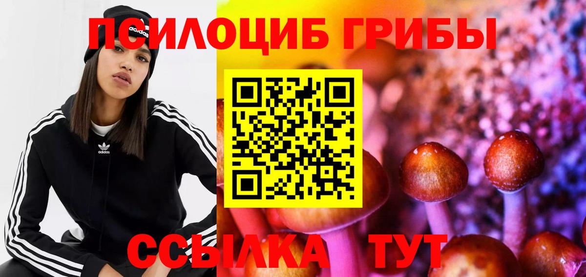 Галлюциногенные грибы Cubensis Сальск