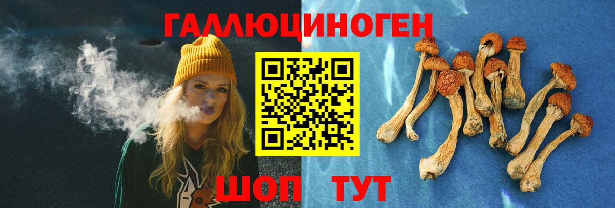 Сальск  Галлюциногенные грибы GOLDEN TEACHER  Галлюциногенные грибы Psilocybine cubensis  Вход с VPN 